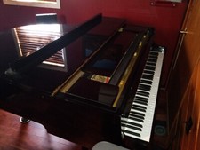 Yamaha gh1 polished for sale  Willingboro