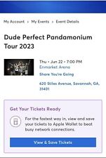 Dude perfect pandemonium for sale  North Charleston