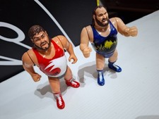 Coppia wwf wrestling usato  Roma