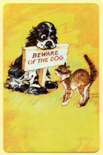 Dog butch cocker d'occasion  Expédié en Belgium