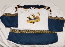 San diego gulls for sale  Carlsbad