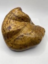 Burl wood piece for sale  Fort Wayne