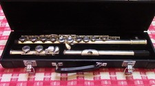 Vintage lumiere c11720 for sale  YORK