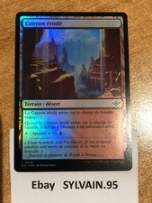 Carte magic mtg d'occasion  Magny-en-Vexin