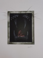 Paul wunderlich löwenmaul gebraucht kaufen  Deutschland