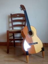 Flamenco guitar taranta for sale  NEWTOWNABBEY