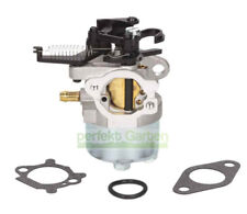 Gaźnik do Briggs & Stratton B&S Series 700 750 DOV 591852 793463 793493 595509 na sprzedaż  Wysyłka do Poland