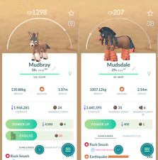 Combo Mudbray & Mudsdale - Pokémon raros comprar usado  Enviando para Brazil