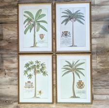 Vintage palm tree for sale  Nampa