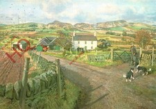 Postcard james mcintosh for sale  NEWCASTLE UPON TYNE