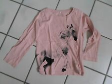 Shirt rose pferd gebraucht kaufen  Altenkirchen, Gries, Ohmbach