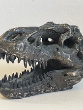 Tyrannosaurus rex skull for sale  Reno