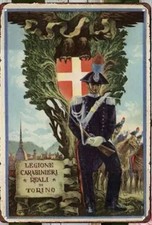 Targa metallo legione usato  Fiuggi
