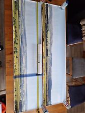 Backscenes photographic backsc for sale  PENZANCE