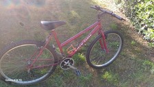 Mtb donna usato  Empoli