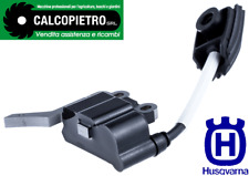 Bobina modulo accensione usato  Polistena