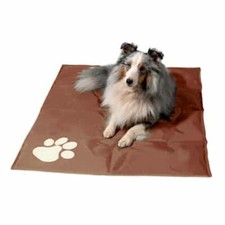 Große kühlmatte hunde gebraucht kaufen  Hollfeld