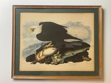 Vintage audubon white for sale  New Castle