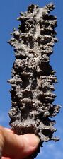 Beautiful fulgurite lightning d'occasion  Saint-Malo