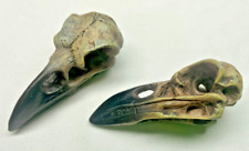 Rabenschädel krähenschädel  gebraucht kaufen  Mühlenbeck