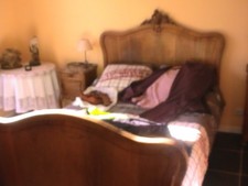 Lit ancien année d'occasion  Béziers