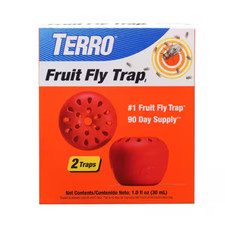 Indoor fruit fly for sale  Denver