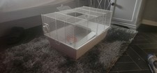 Dwarf hamster cage for sale  MARCH