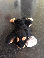 Doberman doby beenie for sale  EVESHAM