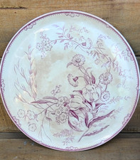 wedgewood plates for sale wedgewood plates for sale Toledo