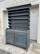 North european blue for sale  New Hope