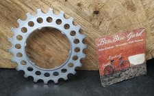 Pignons cassette campagnolo d'occasion  Saint-Privat-des-Vieux