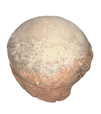 Real hadrosaur egg for sale  Broken Arrow