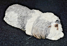 Sandicast 8119 shih for sale  Neptune