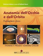 Anatomia dell occhio usato  Sesto San Giovanni