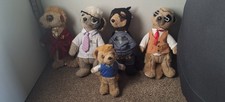 Compare market meerkats for sale  CRAWLEY