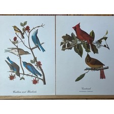 Vintage beautiful bird for sale  Barboursville