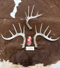 Lot nice big for sale  Harper