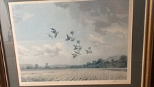 Framed english partridge for sale  SHIPSTON-ON-STOUR