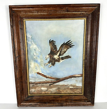 Vintage american bald for sale  Tampa