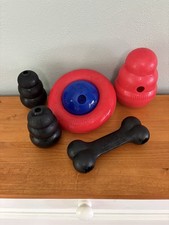 Kong mixed dog for sale  Dayton