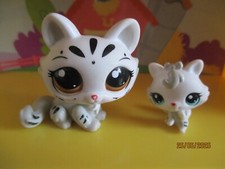 Petshop duo maman d'occasion  Saint-Omer
