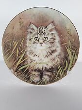 Royal worcester kitten for sale  WORCESTER