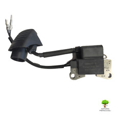 Bobina elettronica originale usato  Camaiore