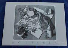 Escher reptilien 50cm gebraucht kaufen  Nastätten