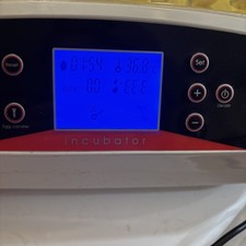 egg incubator for sale  Williamstown
