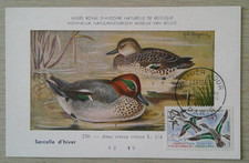 Carte 1er jour d'occasion  Prunelli-di-Fiumorbo