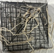 Vintage crab trap for sale  Portland