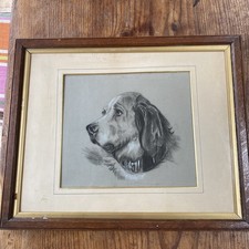 dog drawing for sale dog drawing for sale NEWTON ABBOT