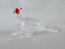 parrot feathers for sale parrot feathers for sale GRANTHAM