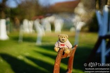 Minolta ROKKOR 58/1.4 MC II | MD mount | Fully functional | SAMPLES na sprzedaż  PL